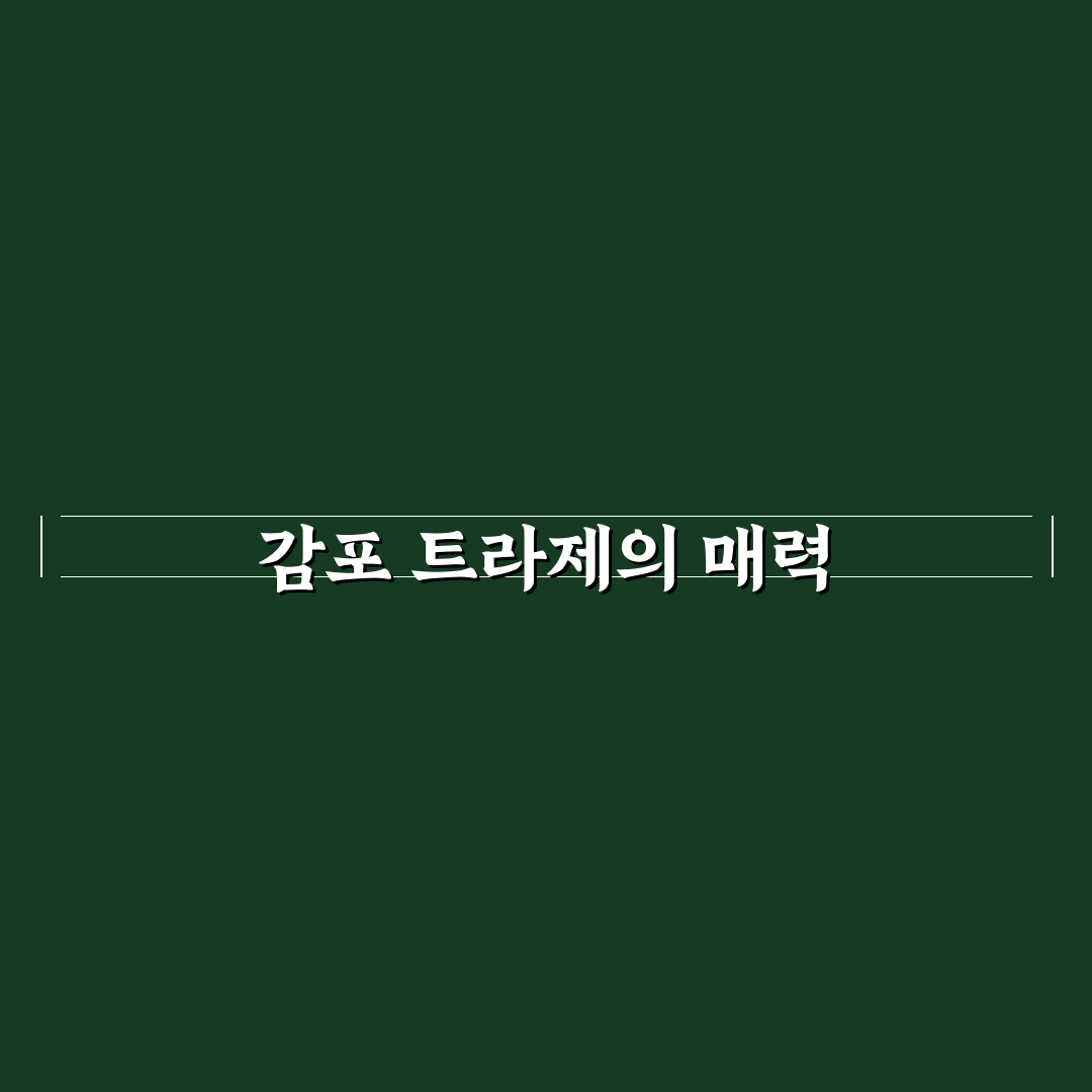 경주 감포 트라제 풀빌라 꿀팁과 즐길 거리 정리
